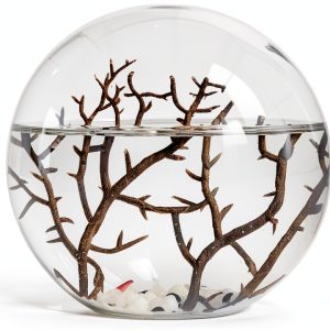 Ecosystem- Closed Ecosystem, Small Round Sphere 4" with 2-3 Shrimp-0