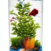 Koller Products Plastic 6-Gallon AquaView 360 Aquarium Kit for Tropical Fish, Betta Fish with LED Lighting and Power Filter Clear, 4-Piece Set-6