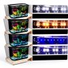 5 Gallon Aquarium Kit by Koller with LED Light & Filter Clear-2