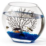 hygger Mini Glass Oblate Fish Bowl Kit, Small Fish Tank Comes with Blue Aquarium Decor Stones and Plastic Fan Branch Tree Ornament-0