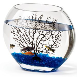 hygger Mini Glass Oblate Fish Bowl Kit, Small Fish Tank Comes with Blue Aquarium Decor Stones and Plastic Fan Branch Tree Ornament-0