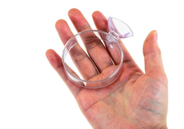 60mm Fish Tank Feeder Dish Aquarium Shrimp Feeder Dish with Suction Clear Fish Tank Feeding Bowl Round Clear Dishes Tray（2pcs）-2