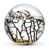 Ecosystem- Closed Ecosystem, Small Round Sphere 4" with 2-3 Shrimp-2