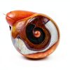 Live Ramshorn Snails 9+ Red - Polar Bear Aquarium Algae Clean Up-2