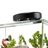 Tetra 3 Gallon Fish Tank, Aquarium Starter Kit with Pedestal Base, LED Light and Filter, For small tropical fish, guppies, goldfish, or betta-6