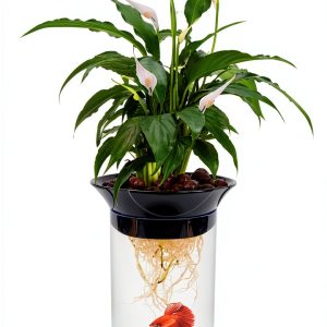 Aquaponic Planter Penn-Plax 0.5 Gallon Betta Tank with Plant-0