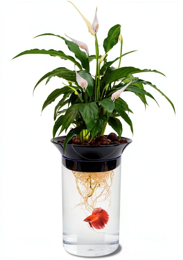 Aquaponic Planter Penn-Plax 0.5 Gallon Betta Tank with Plant-0