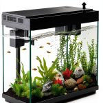 BarkBuddy Fish Tank 2.5 Gallon Aquarium Kit 3‑in‑1 Pump 7‑Color LED-0