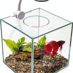 Marina Cubus Glass Betta Kit 0.9 Gallon Aquarium with LED Light-0