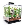 Tetra 3 Gallon Fish Tank, Aquarium Starter Kit with Pedestal Base, LED Light and Filter, For small tropical fish, guppies, goldfish, or betta-7