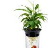 Aquaponic Planter Penn-Plax 0.5 Gallon Betta Tank with Plant-2