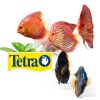 Tetra 3 Gallon Fish Tank, Aquarium Starter Kit with Pedestal Base, LED Light and Filter, For small tropical fish, guppies, goldfish, or betta-8