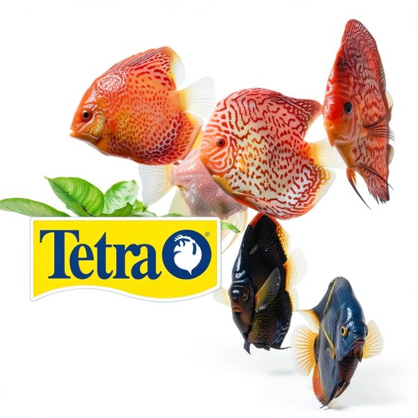 Tetra 3 Gallon Fish Tank, Aquarium Starter Kit with Pedestal Base, LED Light and Filter, For small tropical fish, guppies, goldfish, or betta-8