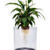 Penn-Plax Aquaponic Betta Tank with Hydroponic Planter 1.4 Gallon-1