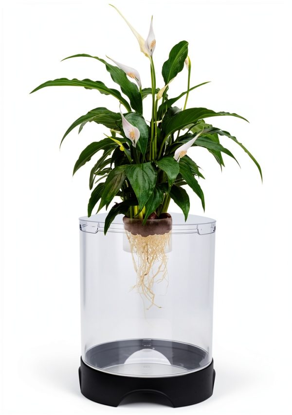 Penn-Plax Aquaponic Betta Tank with Hydroponic Planter 1.4 Gallon-1