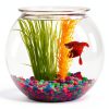 Aquatic Wonder 1 Gallon Fish Bowl Round Crystal Clear BPA Free Plastic-4