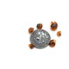 Live Ramshorn Snails 9+ Red - Polar Bear Aquarium Algae Clean Up-4