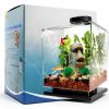 Tetra 3 Gallon Fish Tank, Aquarium Starter Kit with Pedestal Base, LED Light and Filter, For small tropical fish, guppies, goldfish, or betta-1