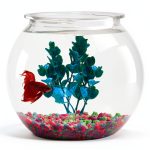 Aquatic Wonder 1 Gallon Fish Bowl Round Crystal Clear BPA Free Plastic-0