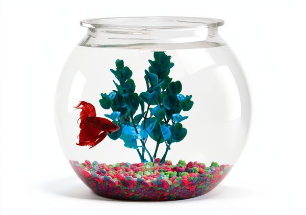 Aquatic Wonder 1 Gallon Fish Bowl Round Crystal Clear BPA Free Plastic-0