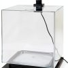 Tetra 3 Gallon Fish Tank, Aquarium Starter Kit with Pedestal Base, LED Light and Filter, For small tropical fish, guppies, goldfish, or betta-2