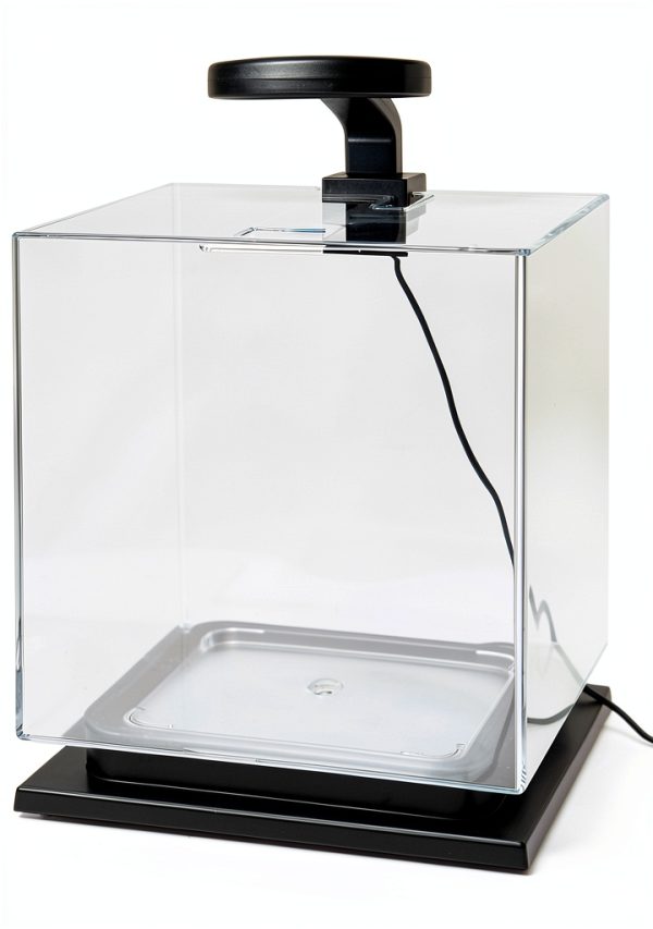 Tetra 3 Gallon Fish Tank, Aquarium Starter Kit with Pedestal Base, LED Light and Filter, For small tropical fish, guppies, goldfish, or betta-2