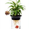 Aquaponic Planter Penn-Plax 0.5 Gallon Betta Tank with Plant-3