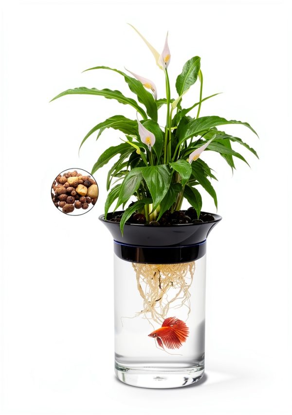 Aquaponic Planter Penn-Plax 0.5 Gallon Betta Tank with Plant-3