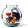 Aquatic Wonder 1 Gallon Fish Bowl Round Crystal Clear BPA Free Plastic-2