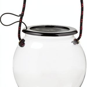 Dry Branch Catch and Release Beach Aquarium Kit Clear Model-0